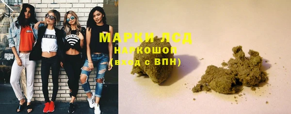 крисы Армянск