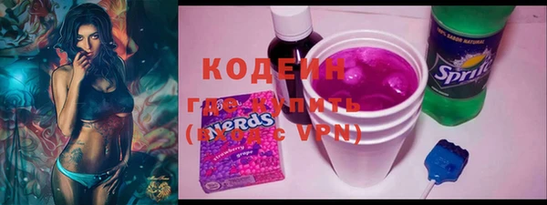 шишки Аркадак