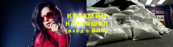шишки Аркадак