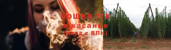 шишки Аркадак