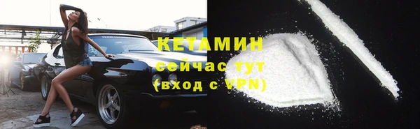 шишки Аркадак