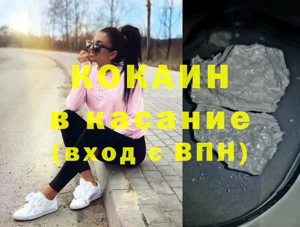 шишки Аркадак