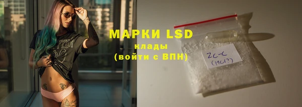 шишки Аркадак