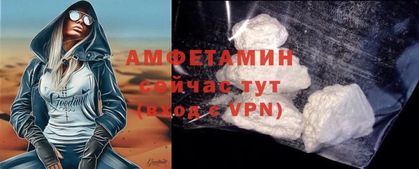 шишки Аркадак