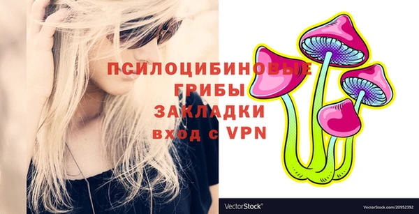 шишки Аркадак